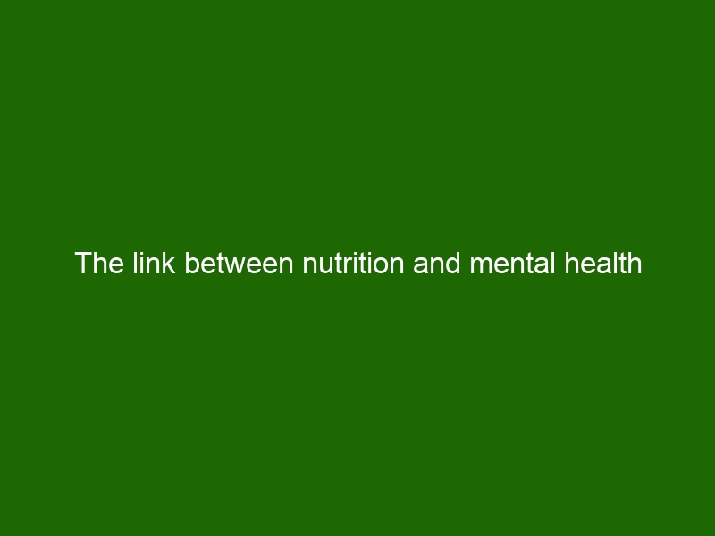 The Link Between Nutrition And Mental Health - Health And Beauty