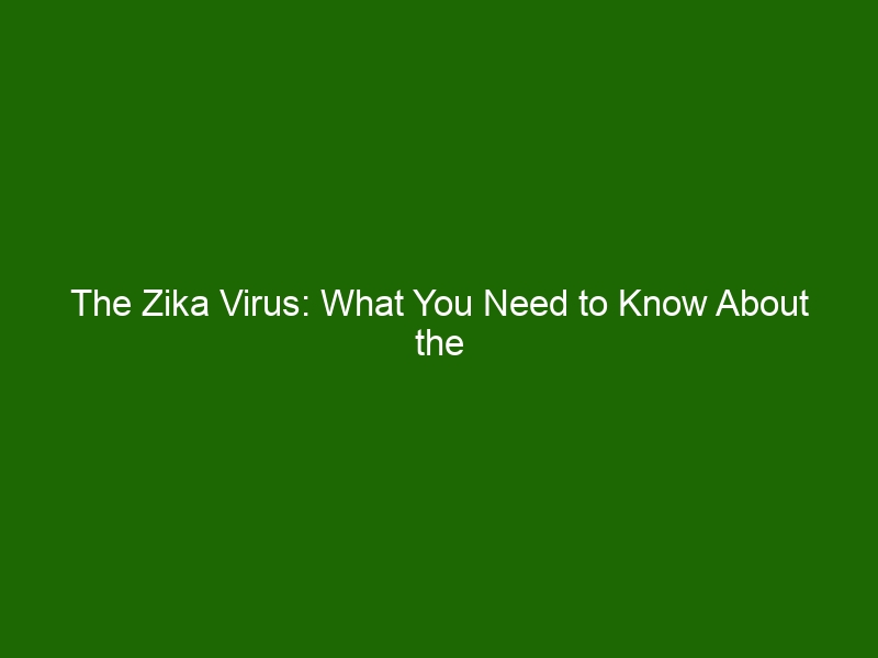 The Zika Virus What You Need To Know About The Dangerous Disease