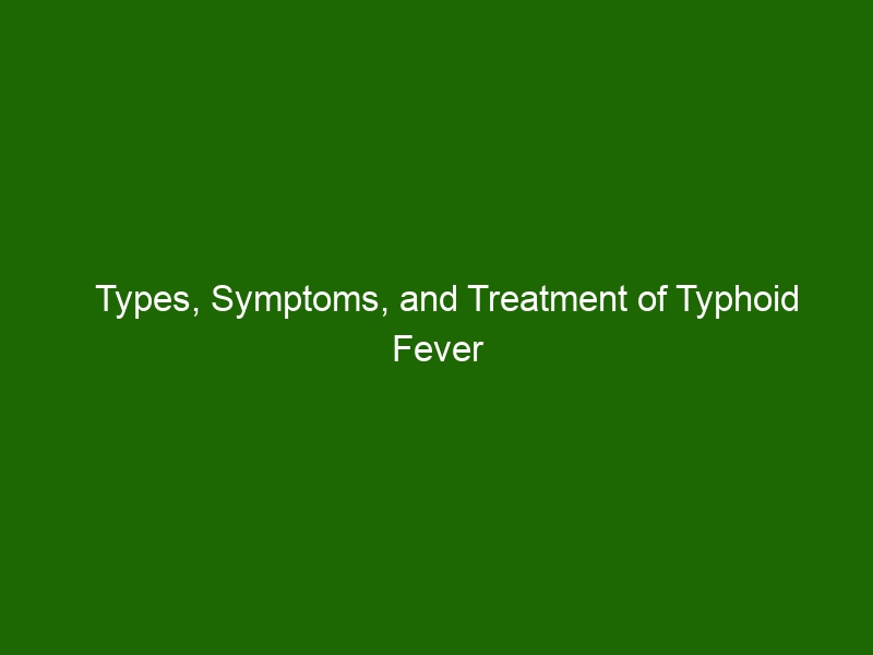 Types, Symptoms, And Treatment Of Typhoid Fever - Health And Beauty