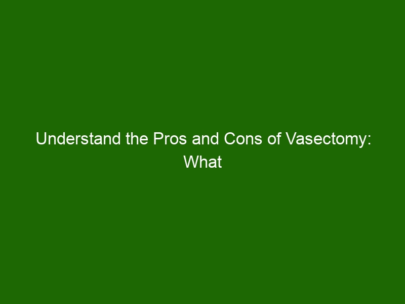 Understand The Pros And Cons Of Vasectomy What You Need To Know Health And Beauty 