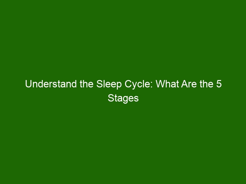 Understand The Sleep Cycle What Are The 5 Stages Of Sleep Health