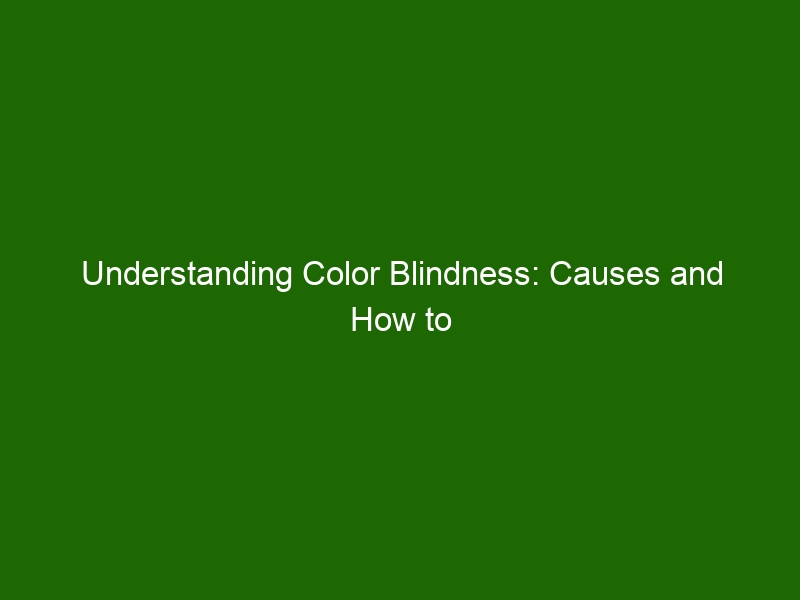 Understanding Color Blindness: Causes and How to Adapt - Health And Beauty