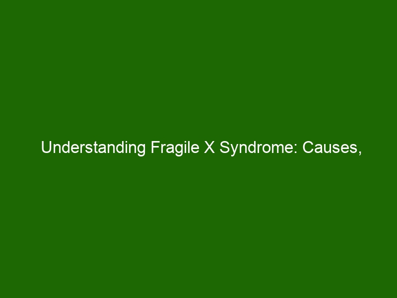 Understanding Fragile X Syndrome Causes Symptoms And Treatment