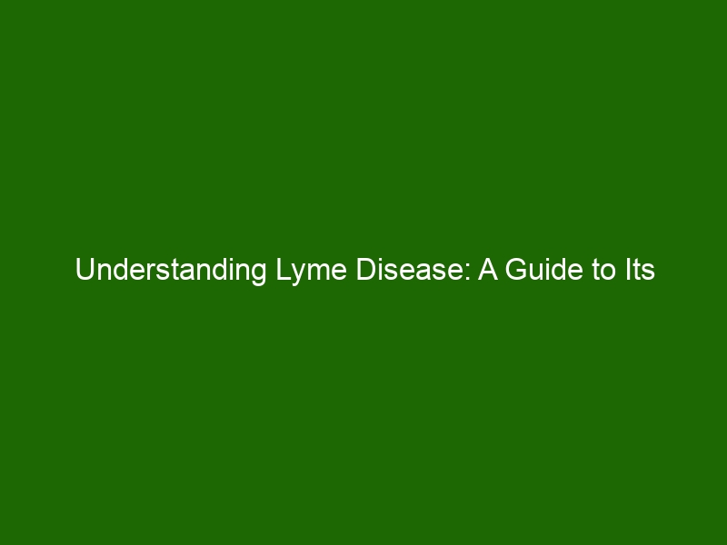 Understanding Lyme Disease A Guide To Its Symptoms And Treatment 6609 