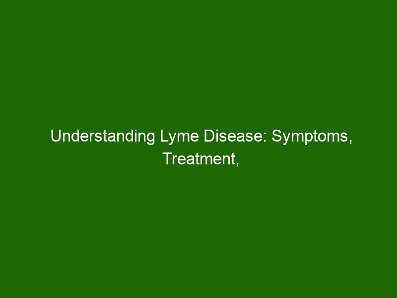 Understanding Lyme Disease Symptoms Treatment And Prevention 21942 