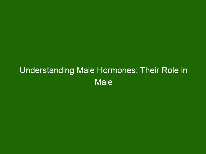 Understanding Male Hormones: Their Role in Male Health & Well-Being ...