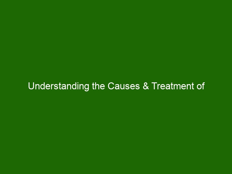 Understanding The Causes & Treatment Of Emphysema: A Guide - Health And 