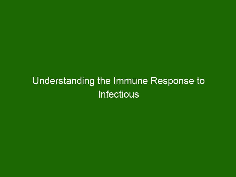 Understanding the Immune Response to Infectious Diseases - Health And ...