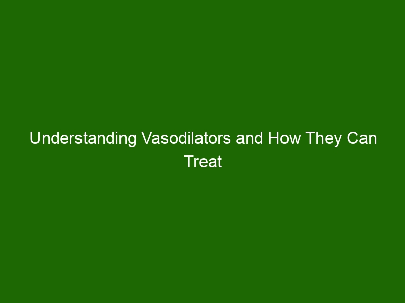 Understanding Vasodilators and How They Can Treat High Blood Pressure Health And Beauty