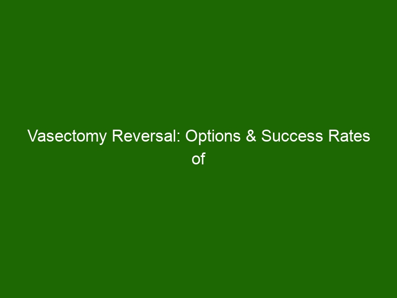 Vasectomy Reversal Options And Success Rates Of Restoring Fertility Health And Beauty 