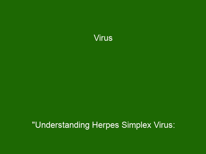 Virus Understanding Herpes Simplex Virus Symptoms Diagnosis Treatment Health And Beauty