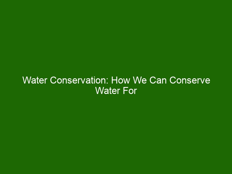 Water Conservation: How We Can Conserve Water For Our Future - Health ...