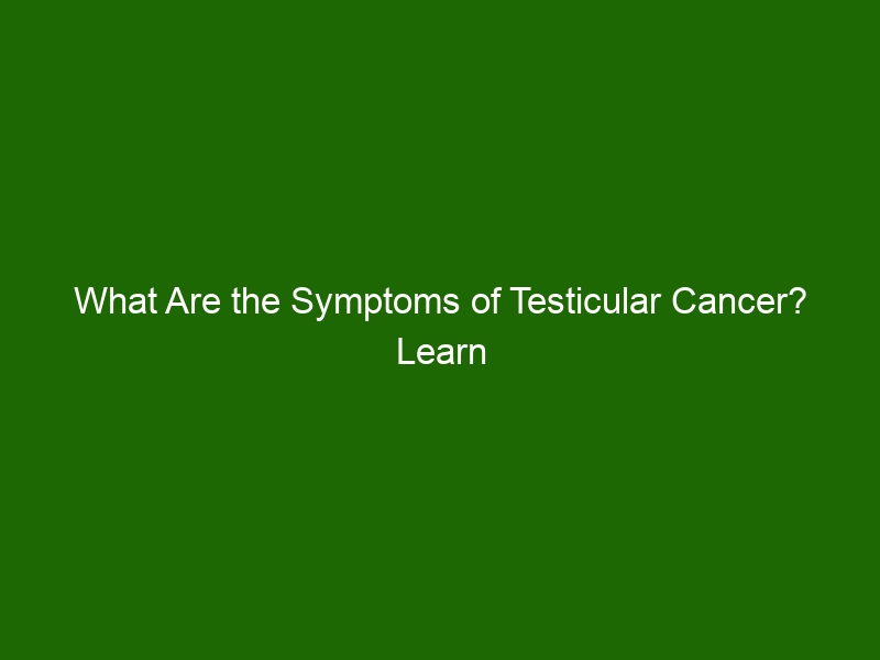 What Are the Symptoms of Testicular Cancer? Learn the Warning Signs ...