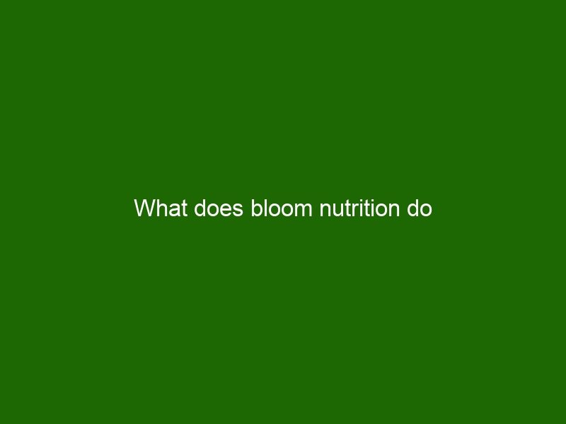 What does bloom nutrition do - Health And Beauty