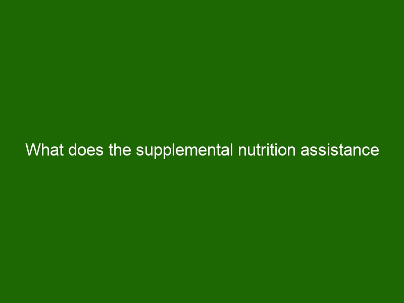 What Does The Supplemental Nutrition Assistance Program (snap) Provide ...