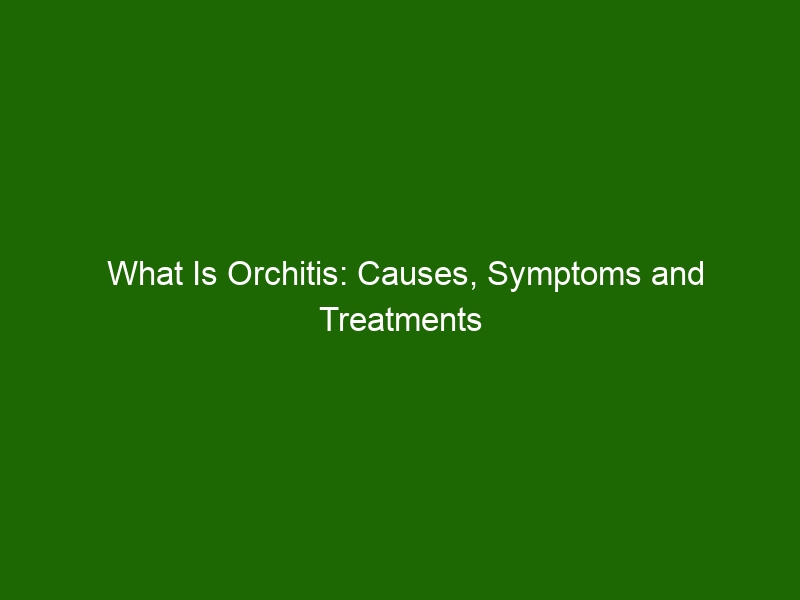 What Is Orchitis: Causes, Symptoms and Treatments - Health And Beauty