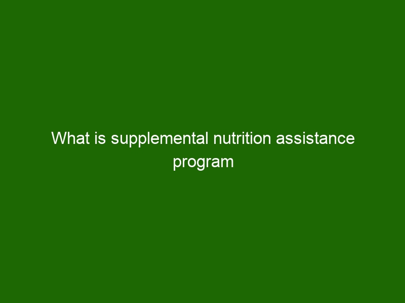 What Is Supplemental Nutrition Assistance Program - Health And Beauty