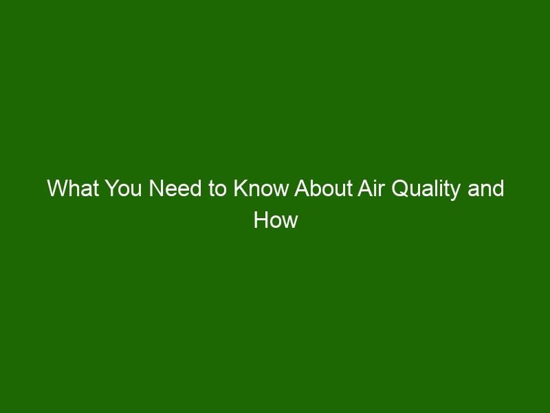 What You Need to Know About Air Quality and How It Affects Your Health