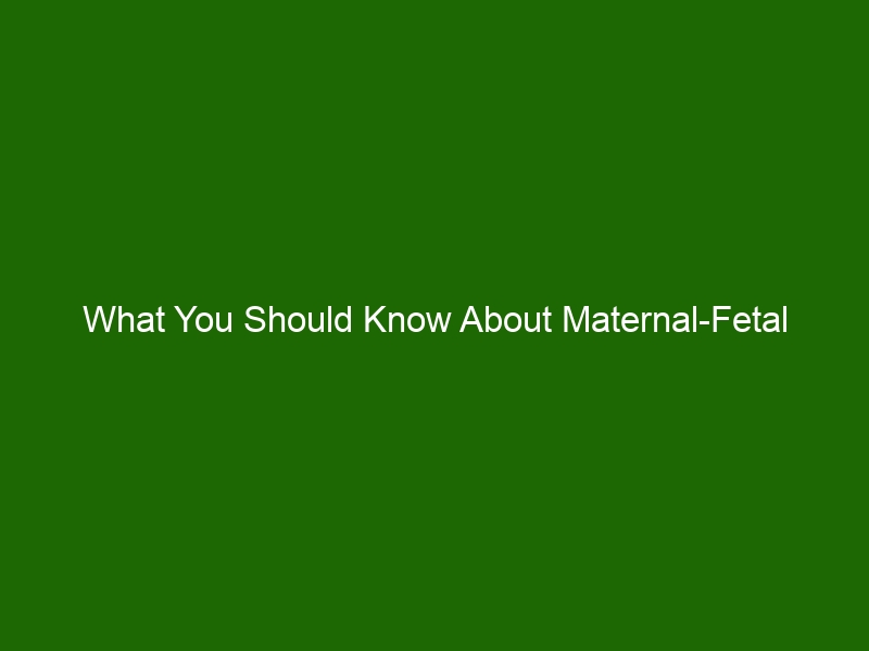 What You Should Know About Maternal Fetal Medicine Specialists Health And Beauty 