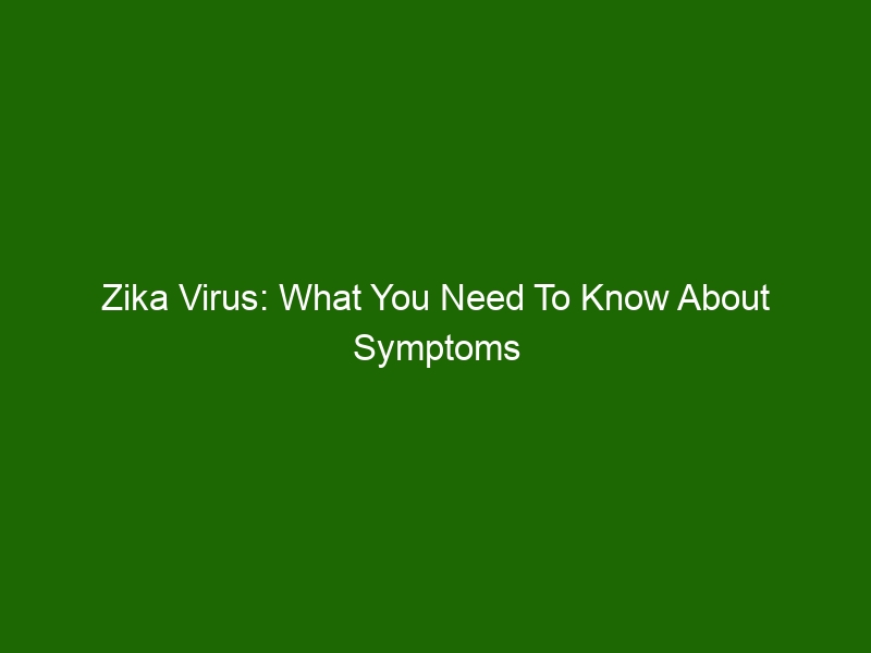 Zika Virus What You Need To Know About Symptoms And Prevention