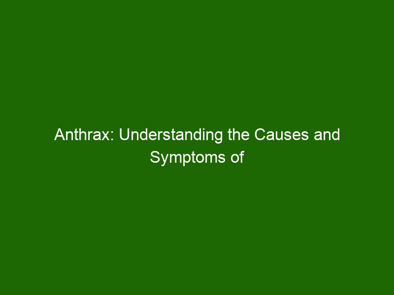 Anthrax Understanding The Causes And Symptoms Of This Potentially Deadly Disease Health And 6123