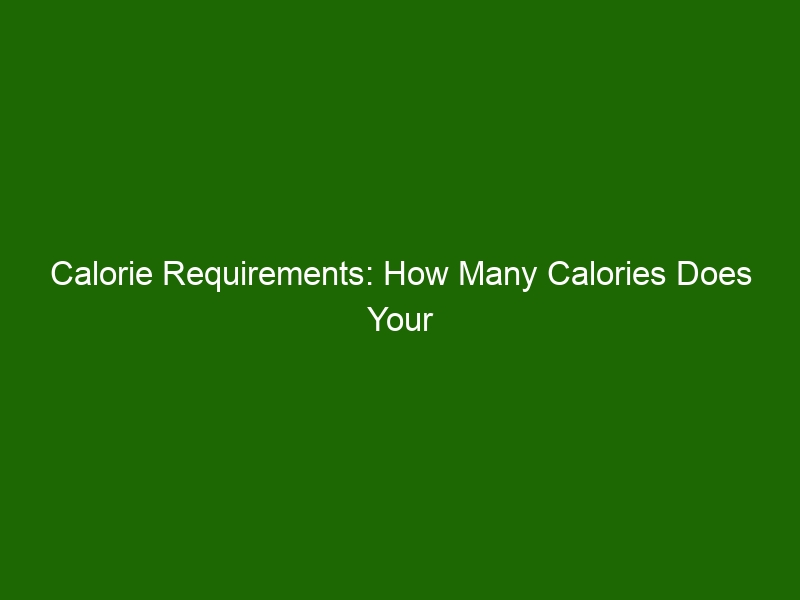 calorie-requirements-how-many-calories-does-your-body-need-health