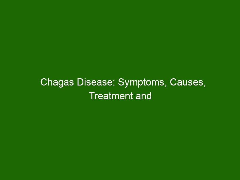 Chagas Disease Symptoms Causes Treatment And Prevention Health And