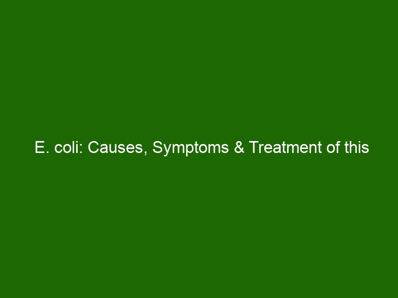 E. Coli: Causes, Symptoms & Treatment Of This Common Bacterium ...