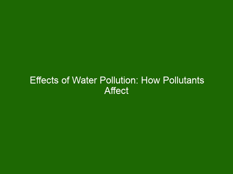 Effects of Water Pollution: How Pollutants Affect Our Health ...