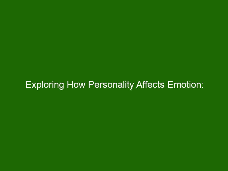 Exploring How Personality Affects Emotion: Understanding And Managing ...