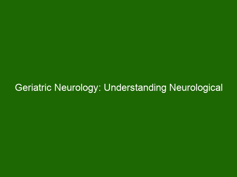 Geriatric Neurology Understanding Neurological Disorders In The Elderly Health And Beauty