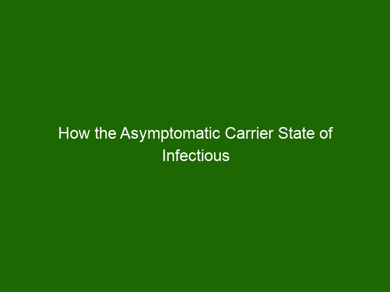 How The Asymptomatic Carrier State Of Infectious Diseases Impacts   How The Asymptomatic Carrier State Of Infectious Diseases Impacts Spread 29073 