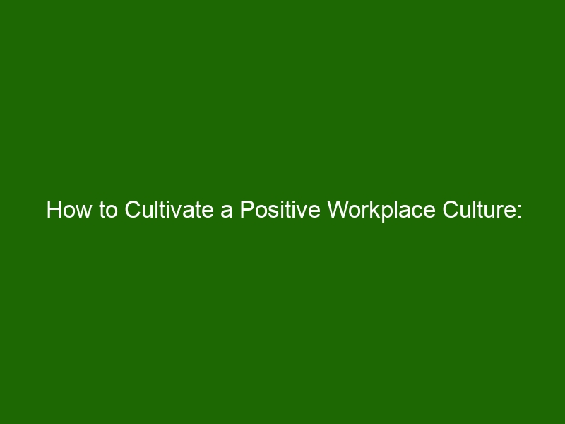 How To Cultivate A Positive Workplace Culture: Strategies For ...