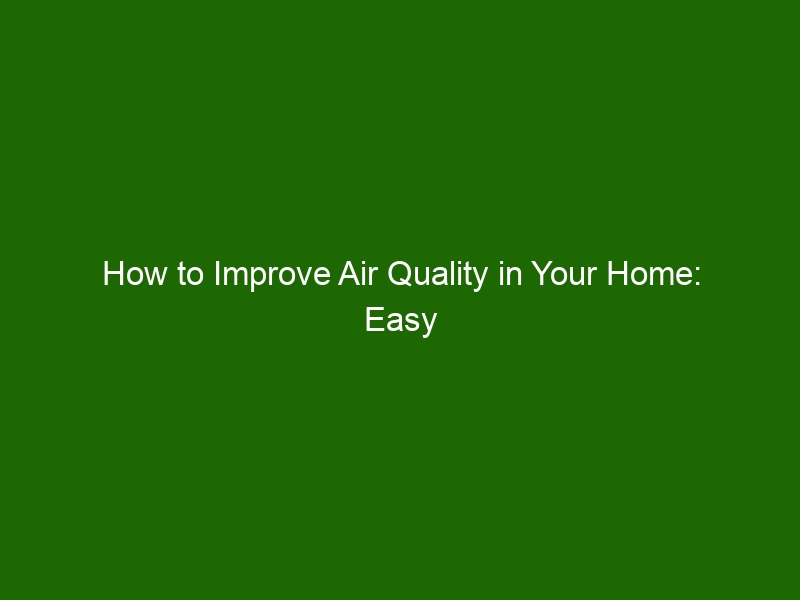 How to Improve Air Quality in Your Home Easy Steps to Cleaner Air