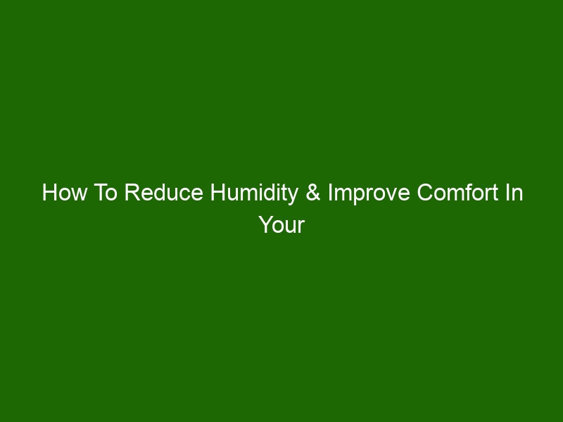 How To Reduce Humidity & Improve Comfort In Your Home Health And Beauty