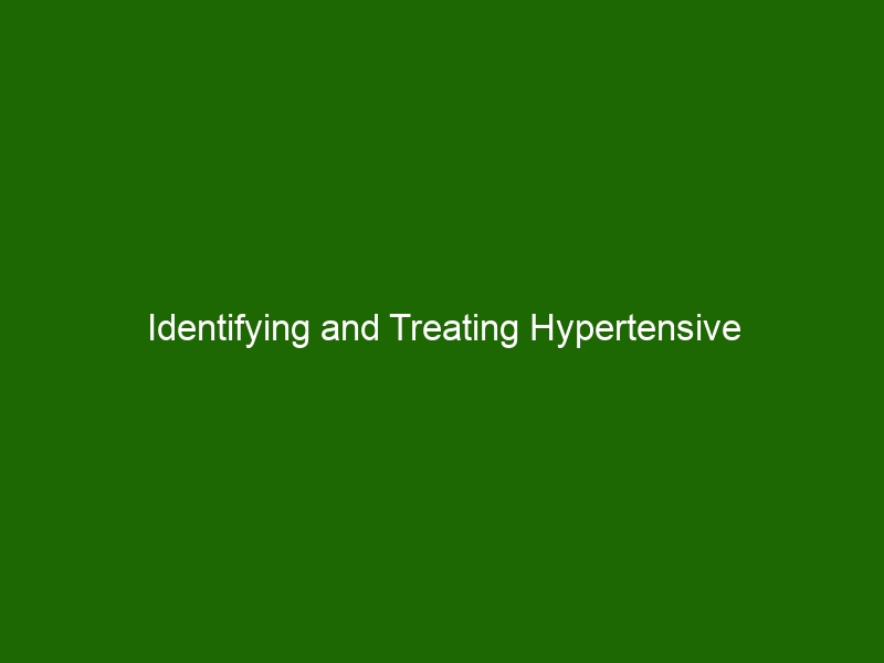 Identifying and Treating Hypertensive Retinopathy: A Guide for ...