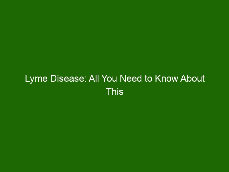 Lyme Disease: All You Need to Know About This Serious Infection ...