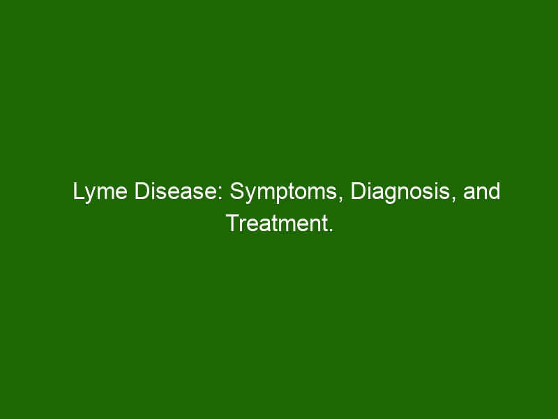 Lyme Disease: Symptoms, Diagnosis, and Treatment. - Health And Beauty