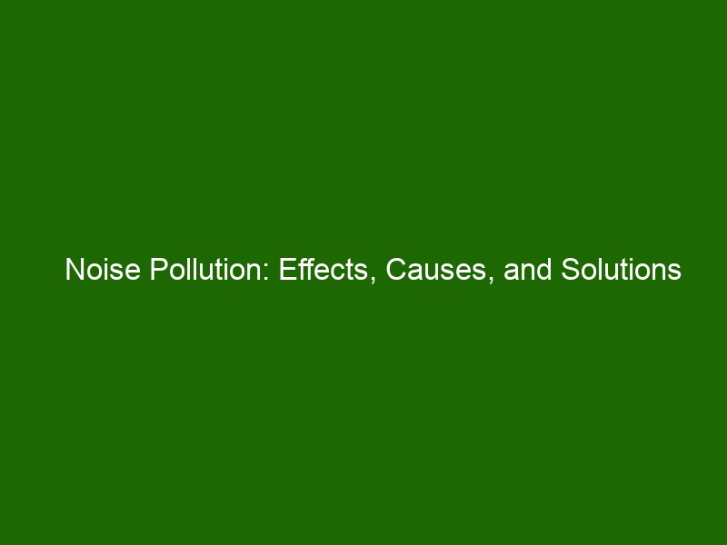 Noise Pollution: Effects, Causes, and Solutions for a Quieter Planet ...