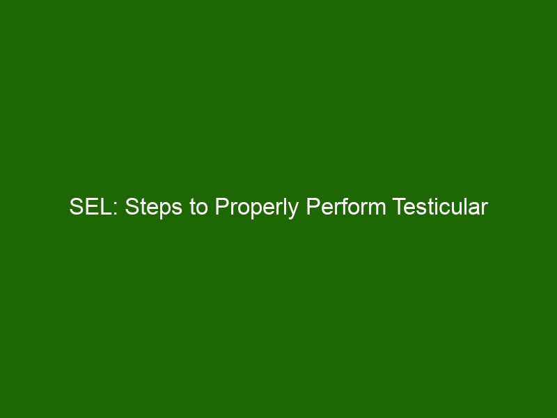 SEL: Steps To Properly Perform Testicular Self-Exam And Its Health ...