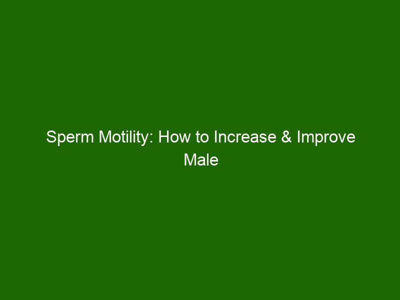 Sperm Motility How To Increase And Improve Male Fertility Health And Beauty 