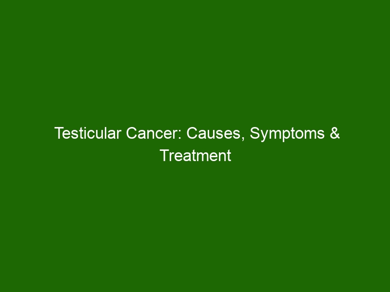 Testicular Cancer Causes Symptoms And Treatment Options Health And Beauty 