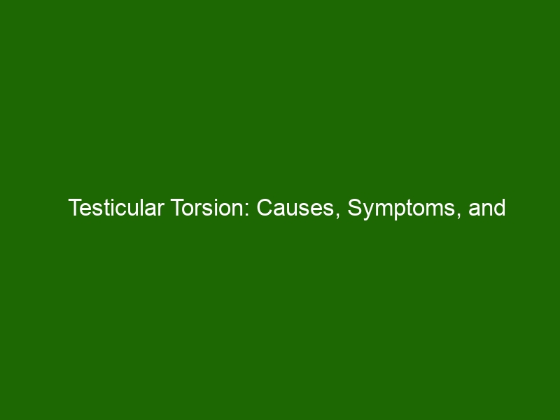 Testicular Torsion Causes Symptoms And Treatments Health And Beauty