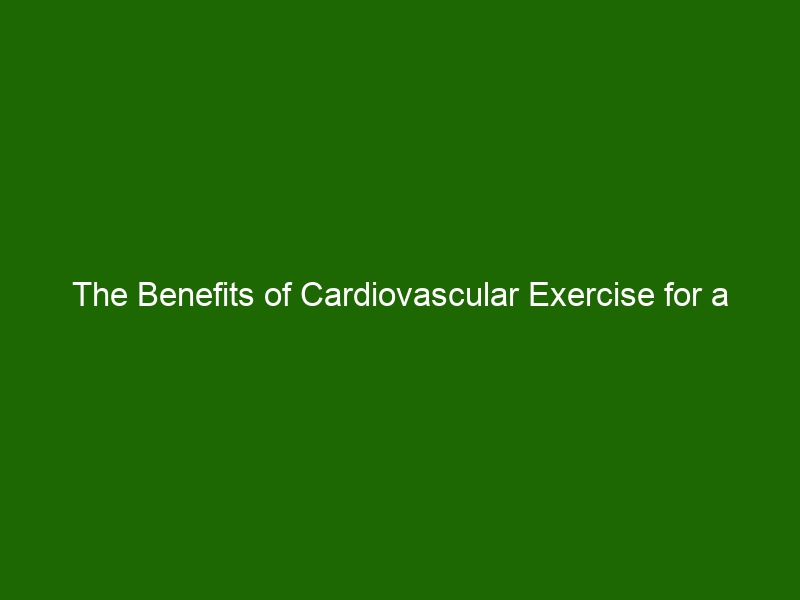 The Benefits Of Cardiovascular Exercise For A Healthy Heart And Body Health And Beauty 1998