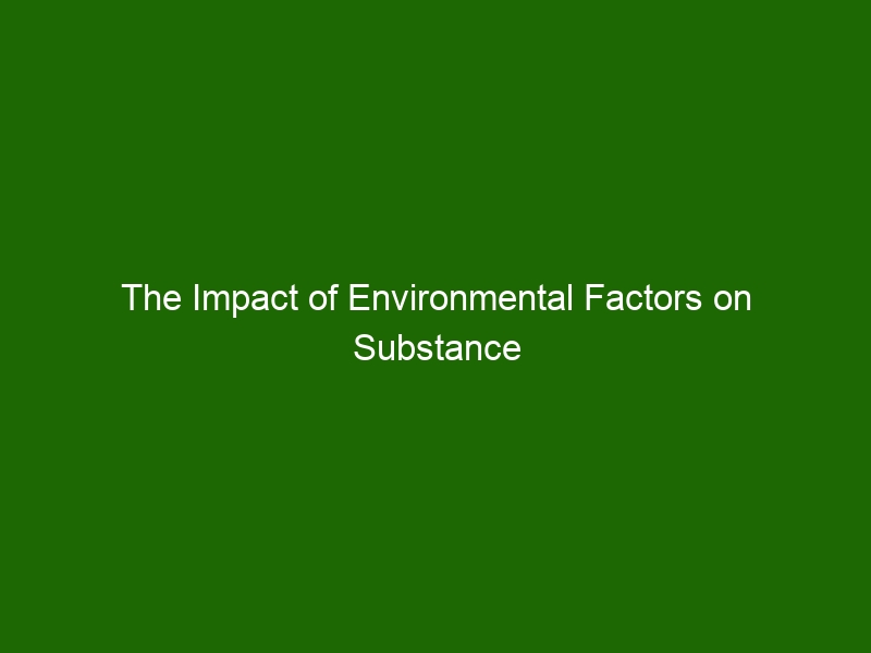 the-impact-of-environmental-factors-on-substance-abuse-understanding