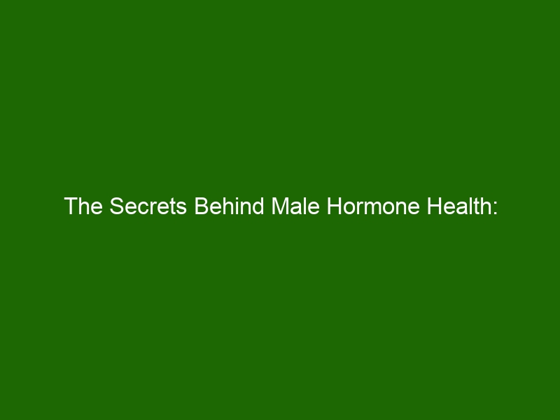 The Secrets Behind Male Hormone Health: Understanding Male Hormones ...