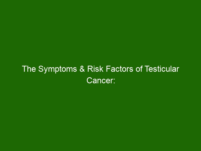 The Symptoms And Risk Factors Of Testicular Cancer What Men Should Know Health And Beauty 7590