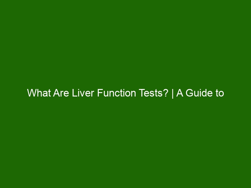 what-are-liver-function-tests-a-guide-to-understanding-your-liver-s