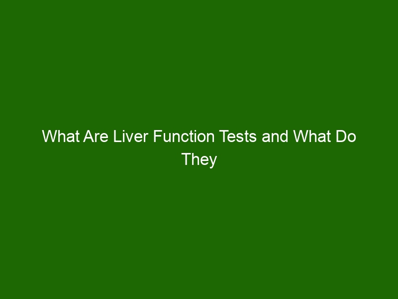 what-is-a-liver-function-test-3-types-purpose-results