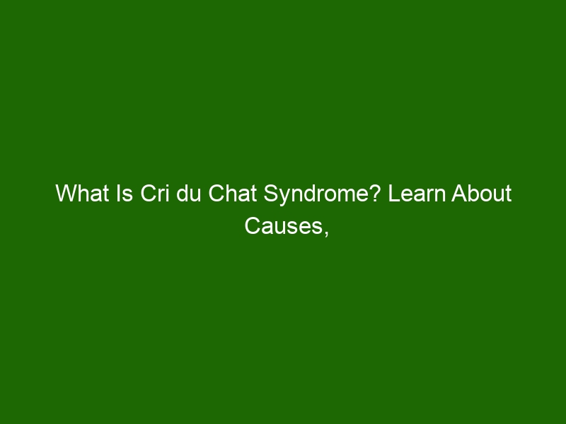 What Is Cri du Chat Syndrome? Learn About Causes, Symptoms & Treatment ...